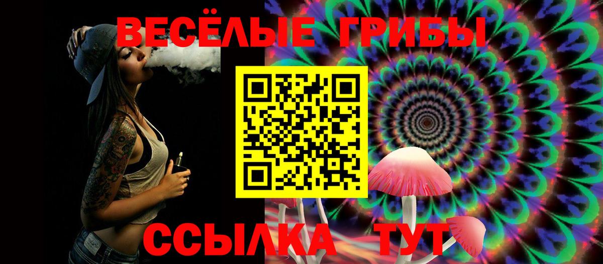 Псилоцибиновые грибы MAGIC MUSHROOMS  Галлюциногенные грибы Psilocybe  Вход с VPN  Киров 